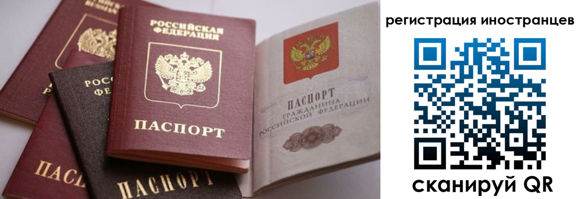 прописка штамп в Архангельске